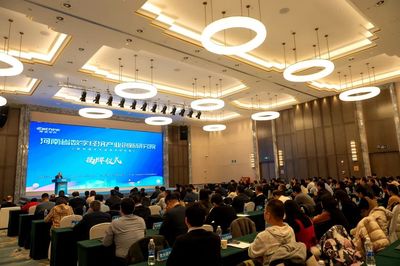 中原數(shù)字大腦 河南省級(jí)數(shù)字經(jīng)濟(jì)研究院成立，引領(lǐng)創(chuàng)業(yè)投資新浪潮